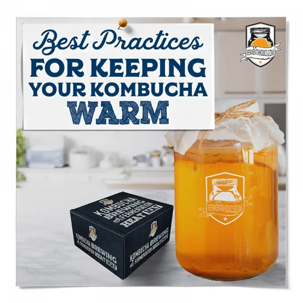 How To Keep Kombucha Warm