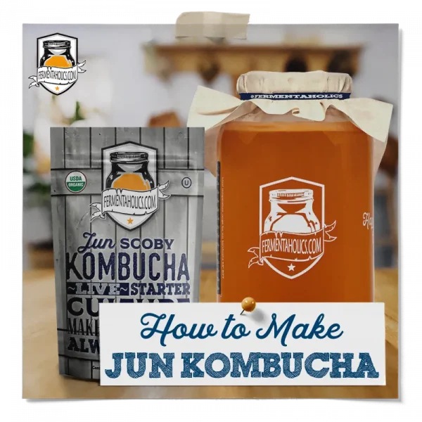 How To Make Jun Kombucha
