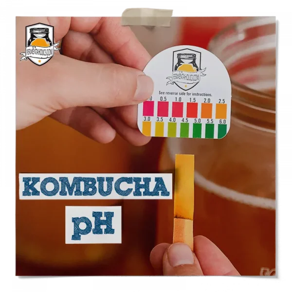 Why Is Ph Important For Kombucha